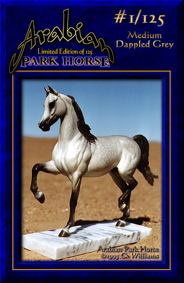 Arabian Park Horse #1