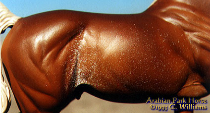 Arabian Park Horse Phase 2 #106/125