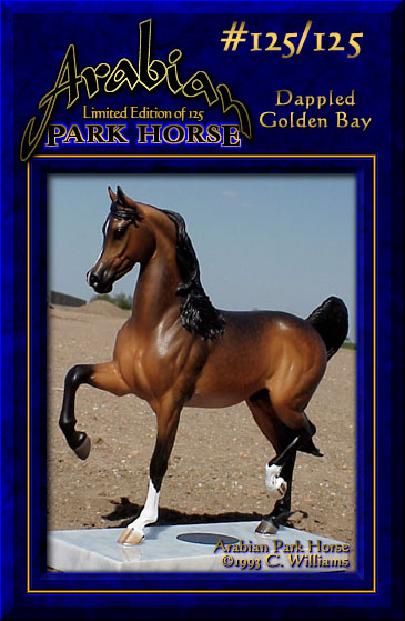 Arabian Park Horse Phase 2 #125/125