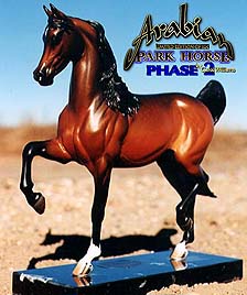 Arabian Park Horse
