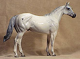 Short Mane, Short Tail Ideal American Stock Horse