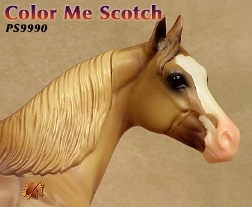 Color Me Scotch - ISH Catalog Run 2000