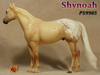 Shynoah - ISH Catalog Run 2000