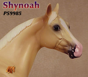Shynoah - ISH Catalog Run 2000