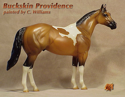 Unique Buckskin Providence by C Williams