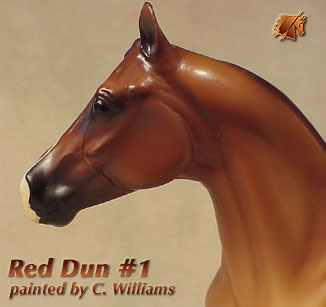 Unique ISH Red Dun #1 by C Williams