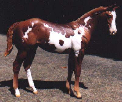 Weanling Painted by Katie Richards