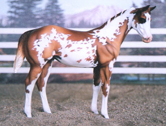 Weanling Painted by Cathy Wallden