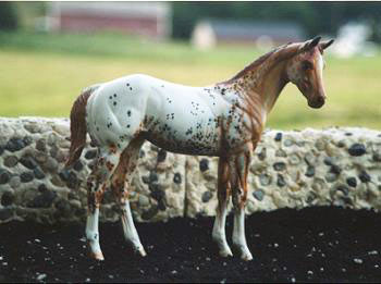 Weanling Painted by Mindy Winchester