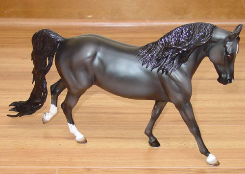 Knightly Cadence Painted by Diana Fryer