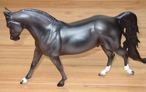 Knightly Cadence Painted by Diana Fryer