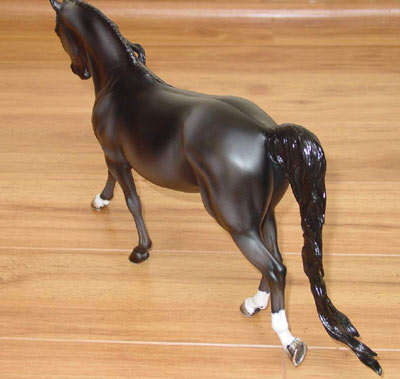 Knightly Cadence Painted by Diana Fryer