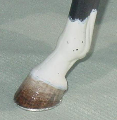 Knightly Cadence Painted by Diana Fryer