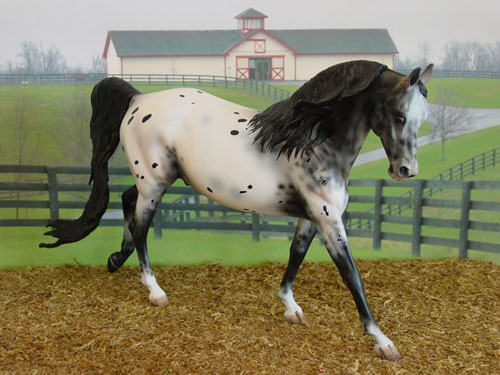 Knightly Cadence Painted by Diana Fryer