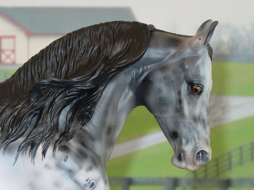 Knightly Cadence Painted by Diana Fryer