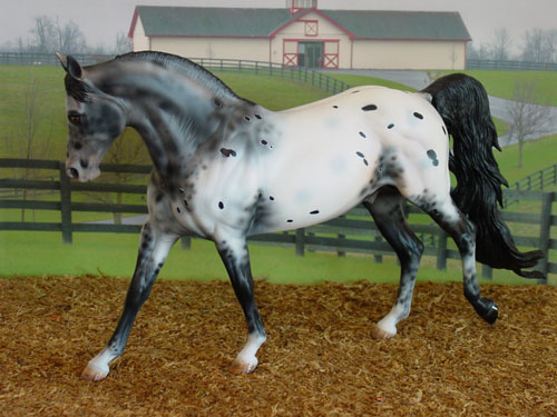 Knightly Cadence Painted by Diana Fryer