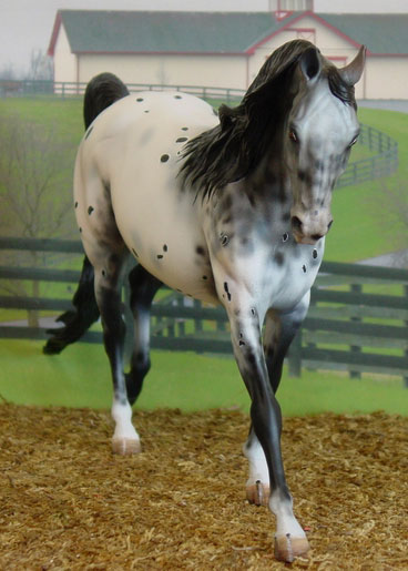 Knightly Cadence Painted by Diana Fryer