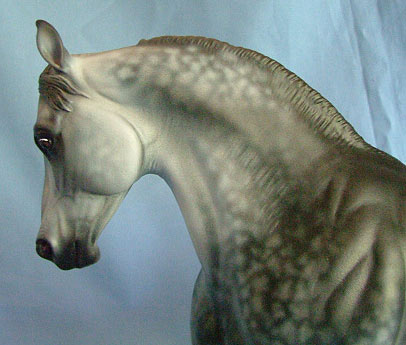 Knightly Cadence Painted by Gudrun Schmidt