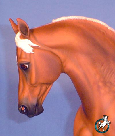 Knightly Cadence Painted by Chris Flint