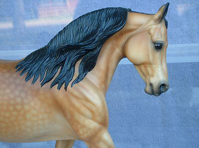 Knightly Cadence Painted by Sommer Prosser