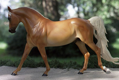 Knightly Cadence Painted by Diane Thiele