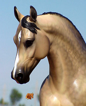 Cadence #1 Painted by C. Williams