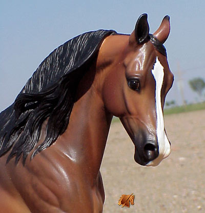 Cadence #2 Painted by C. Williams