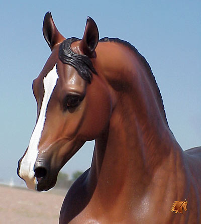 Cadence #2 Painted by C. Williams