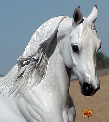 Cadence #3 Painted by C. Williams