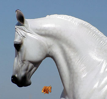 Cadence #3 Painted by C. Williams