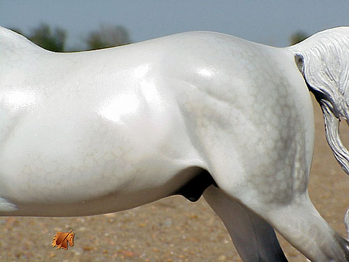 Cadence #3 Painted by C. Williams