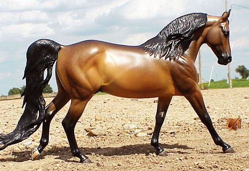 Cadence #4 Painted by C. Williams