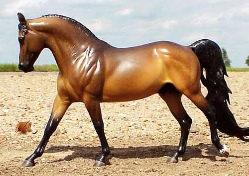 Cadence #4 Painted by C. Williams