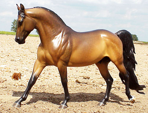 Cadence #4 Painted by C. Williams