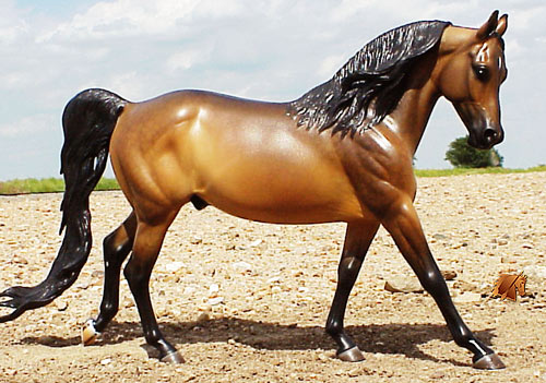 Cadence #4 Painted by C. Williams