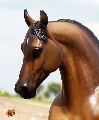 Cadence #4 Painted by C. Williams