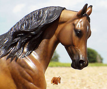 Cadence #4 Painted by C. Williams