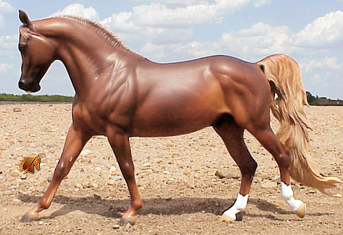 Cadence #5 Painted by C. Williams