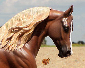 Cadence #5 Painted by C. Williams