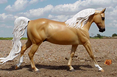 Cadence #6 Painted by C. Williams