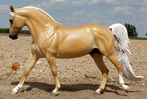 Cadence #6 Painted by C. Williams