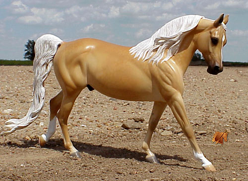 Cadence #6 Painted by C. Williams