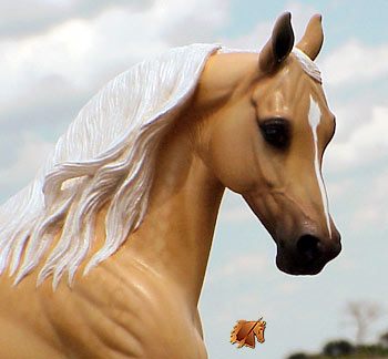 Cadence #6 Painted by C. Williams