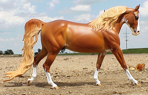 Cadence #7 Painted by C. Williams