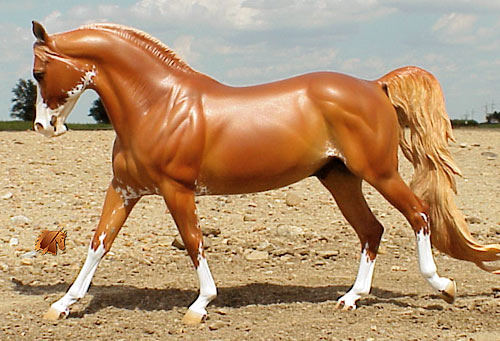 Cadence #7 Painted by C. Williams