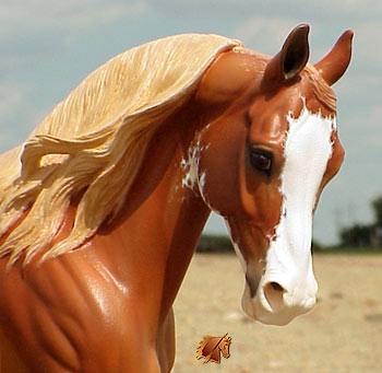 Cadence #7 Painted by C. Williams