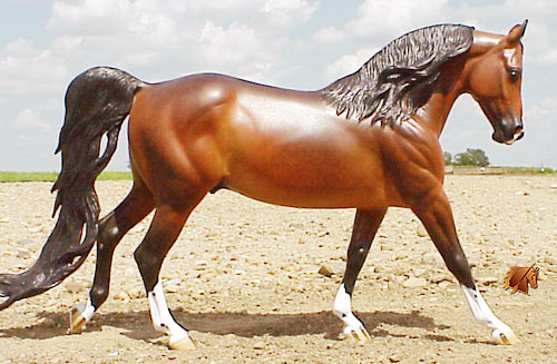 Cadence #8 Painted by C. Williams