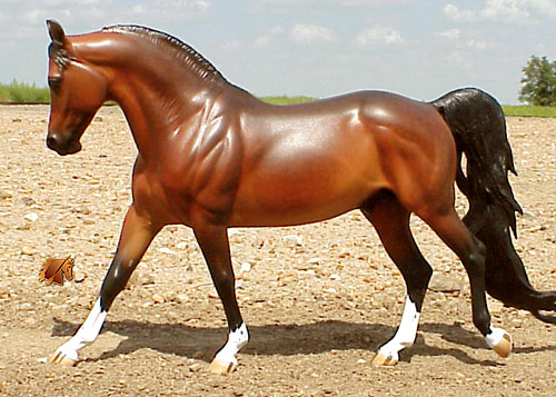 Cadence #8 Painted by C. Williams