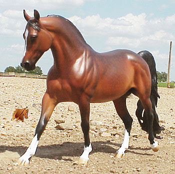 Cadence #8 Painted by C. Williams