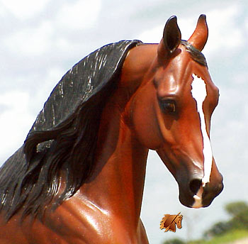 Cadence #8 Painted by C. Williams